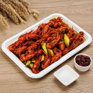 BIRCHIO 50Pack 14" Heavy Duty Disposable Rectangle Food Trays, Compostable Extra Large Paper Platter Plates Serving Crawfish, Lobster, Crab for Party, BBQ, Crawfish Boil Accessories