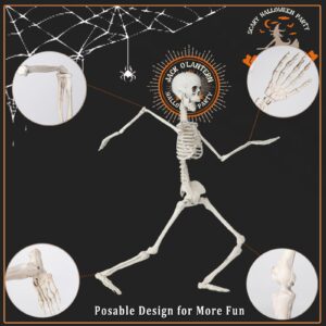 36" Posable Halloween Skeleton, 3FT Skeleton Halloween Decorations, Full Body Lifelike Skeleton for Graveyard Decor, House Haunted, Halloween Prop