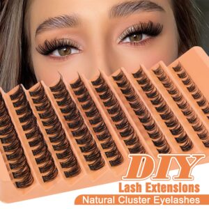 DIY Eyelash Extension Kit, Fluffy Individual Lashes, Mink Cluster Eyelashes, Long-lasting Bond and Seal, Tweezers with Curved Pointed Serrated Tip, 8-16mm DIY Lashes Extensions at Home by Eefofnn