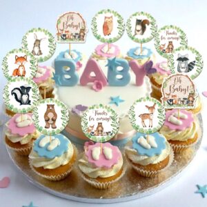 48Pcs Woodland Animal Cupcake Toppers Woodland Baby Shower Cupcake Topper Woodland Creatures Cupcake Toppers Woodland Theme Cupcake Topper Woodland Baby Shower Decorations