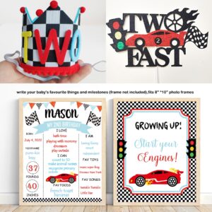 YSHMFEUX Two Fast Birthday Decorations Party Supplies, Race Car 2nd Birthday Decorations, Baby Boy 2nd Birthday Decorations, 2nd Birthday Decorations for Boy