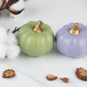 Artmag 16 Pcs Artificial Pumpkins Bulk Faux Harvest Pumpkins Fake Foam Pumpkin for Fall Autumn Halloween Home Thanksgiving Party Holiday Decor Displaying