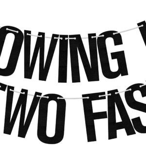 Growing Up Two Fast Banner, Happy 2nd Birthday Decorations, Race Car Theme Party Decors, Racing Party Second Birthday Party Supplies Black Red Glitter