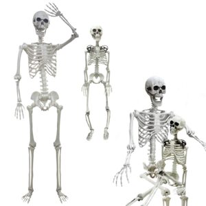 lodou halloween poseable skeleton,adult skeletons & child skeletons,plastic human bones with movable joints for halloween graveyard decorations (5.4ft & 3ft)