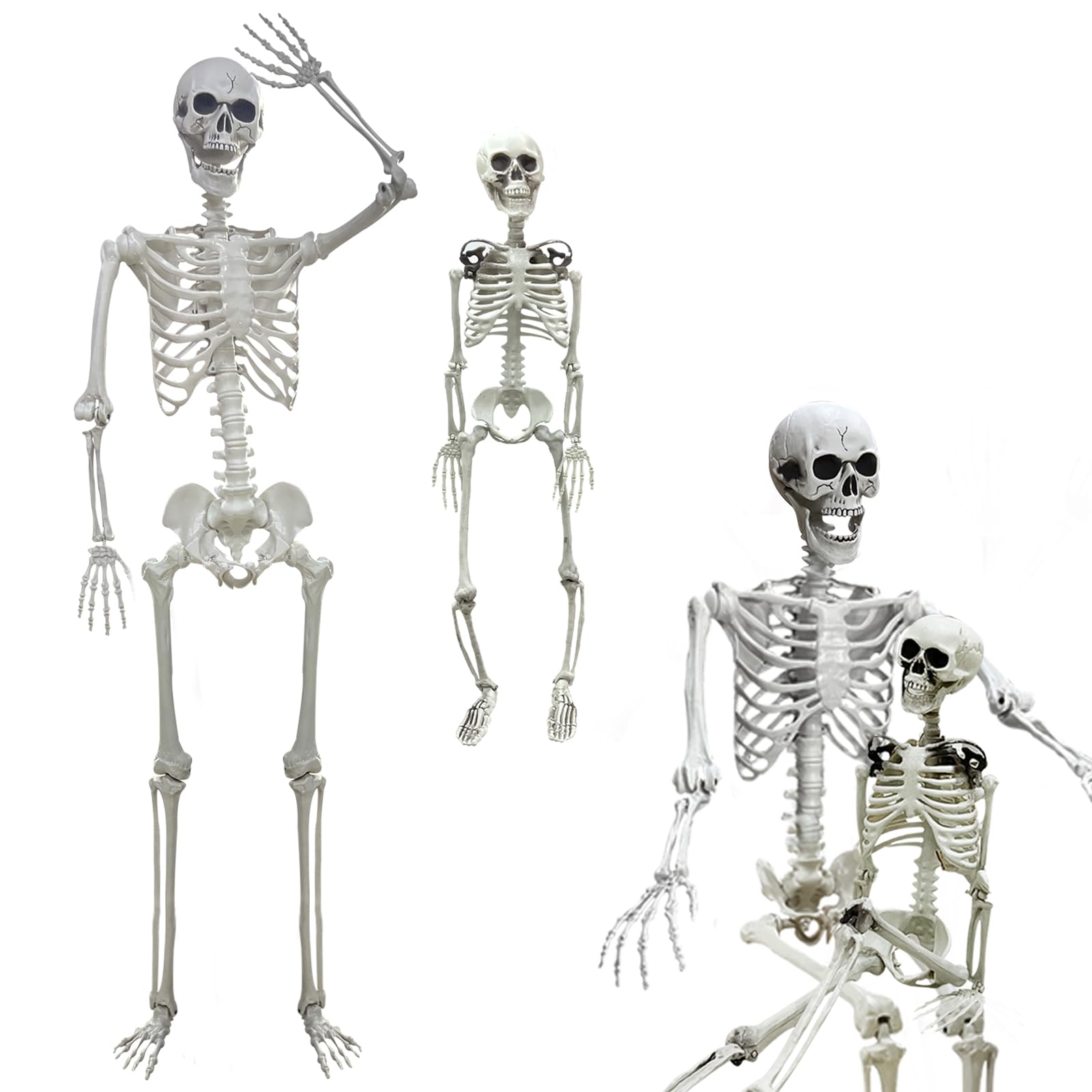 Lodou Halloween Poseable Skeleton,Adult Skeletons & Child Skeletons,Plastic Human Bones with Movable Joints for Halloween Graveyard Decorations (5.4ft & 3ft)