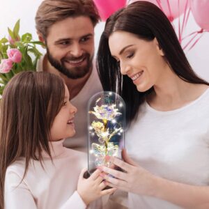 WOKEISE Mothers Day Rose Gifts for Mom,Wife,Grandma,Light Up Preserved Rose Flower Butterfly in Glass Dome,Personalized Birthday Gifts for Women,Girlfriend,Teenage Girls,Sister-Silver