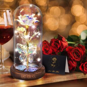 WOKEISE Mothers Day Rose Gifts for Mom,Wife,Grandma,Light Up Preserved Rose Flower Butterfly in Glass Dome,Personalized Birthday Gifts for Women,Girlfriend,Teenage Girls,Sister-Silver