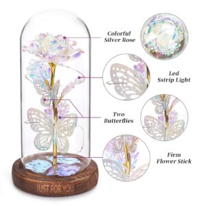 WOKEISE Mothers Day Rose Gifts for Mom,Wife,Grandma,Light Up Preserved Rose Flower Butterfly in Glass Dome,Personalized Birthday Gifts for Women,Girlfriend,Teenage Girls,Sister-Silver