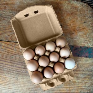 Ruralty Paper Egg Cartons for Chicken Eggs 25 Pack - Holds Dozen Jumbo Egg Cartons Bulk - Vintage 3x4 Flat Top Egg Cartons Made from Recycled Paper Pulp - Easily Personalized Blank Egg Cartons Bulk