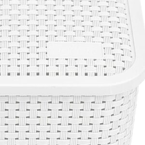 NITRON Plastic Organizer Rattan Box with Lid 16.9Qt-4Pack Large Pantry Organizer Bins Household Organizers for Kitchen, Shelves, Countertops, Desktops, Cabinets, Bedrooms and Bathrooms (Large, White)