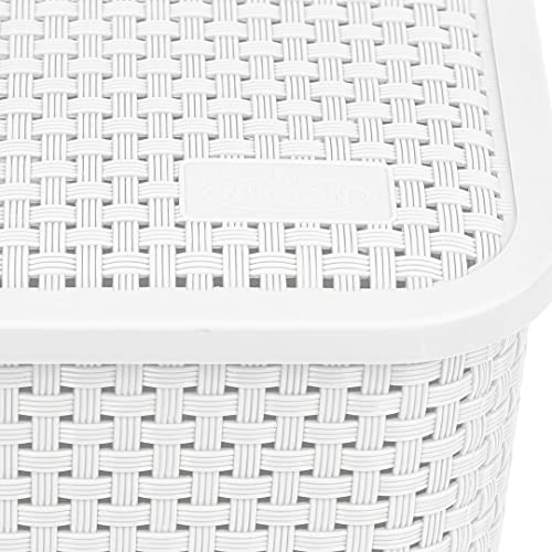 NITRON Plastic Organizer Rattan Box with Lid 16.9Qt-4Pack Large Pantry Organizer Bins Household Organizers for Kitchen, Shelves, Countertops, Desktops, Cabinets, Bedrooms and Bathrooms (Large, White)