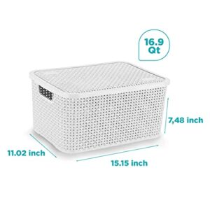 NITRON Plastic Organizer Rattan Box with Lid 16.9Qt-4Pack Large Pantry Organizer Bins Household Organizers for Kitchen, Shelves, Countertops, Desktops, Cabinets, Bedrooms and Bathrooms (Large, White)