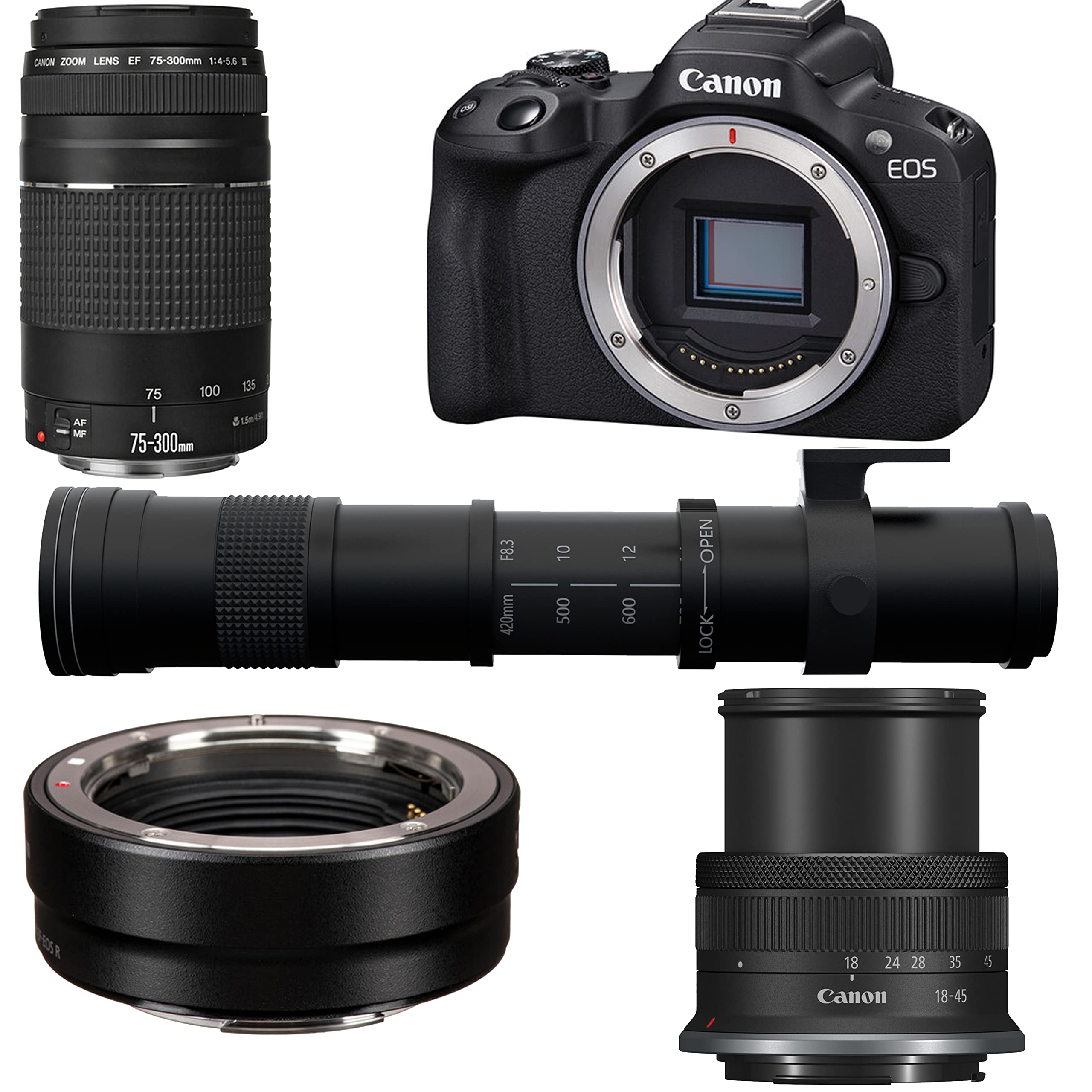 Canon EOS R50 Mirrorless Camera with 18-45mm, EF 75-300mm & 420-800mm Lenses + Mount Adapter + 20 Essential Accessories for Content Creators