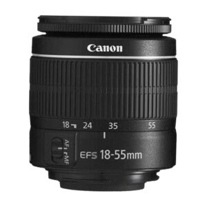 Canon EOS 2000D (Rebel T7) DSLR Camera w/EF-S 18-55mm F/3.5-5.6 Zoom Lens + 420-800mm Super Telephoto Lens + 100S Sling Backpack + 64GB Memory Cards, Professional Photo Bundle (42pc Bundle)