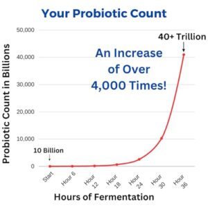 Ultimate Probiotic Yogurt Maker - Make Trillions of Live Probiotics with Adjustable Temperature & Time Control - Get Better Gut Health - Best Yoghurt Machine - Perfect Kitchen Gifts for Women & Men