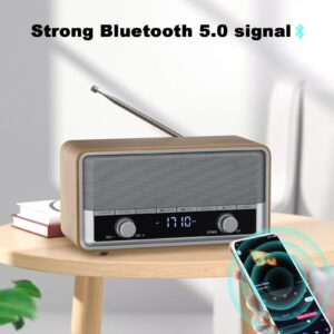 Audiocrazy AM FM Radio Plug in Wall, Radio with Bluetooth for Home, Best Reception Clock Radio with LCD Display, Sleep/40 Presets Retro/Vintage Bluetooth Radio for Indoor Kitchen Bedroom Work