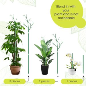 6 Pack Plant Support Stakes for Indoor Plants, 39.37 Inch Twig Plant Sticks with Orchid Clips Twist Ties and Plant Ties for House Potted Monstera Plants, Plastic Branches Support Structures, Green