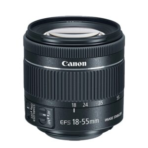 Canon EOS Rebel T8i DSLR Camera w/EF-S 18-55mm F/4-5.6 STM Zoom Lens + 75-300mm F/4-5.6 III Lens+ 64GB Memory Cards, Professional Photo Bundle (42pc Bundle)