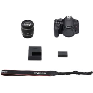 Canon EOS Rebel T8i DSLR Camera w/EF-S 18-55mm F/4-5.6 STM Zoom Lens + 75-300mm F/4-5.6 III Lens+ 64GB Memory Cards, Professional Photo Bundle (42pc Bundle)