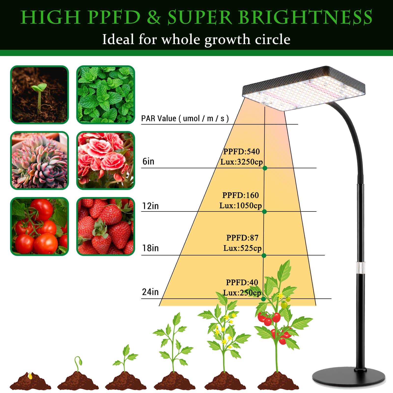 GroCruiser Table Top Grow Light 200W, Desk Grow Lights for Indoor Plants, UV-IR Full Spectrum Plant Growing Lamp for Houseplant with On/Off Switch, Daisy Chain Function, Height Adjustable