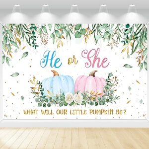 ANGOLIO Fall Pumpkin Blue Pink Gender Reveal Backdrop He or She Autumn Eucalyptus Leaves Fall Baby Shower Gender Reveal Party Photography Background Decoration(Xtralarge)