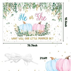 ANGOLIO Fall Pumpkin Blue Pink Gender Reveal Backdrop He or She Autumn Eucalyptus Leaves Fall Baby Shower Gender Reveal Party Photography Background Decoration(Xtralarge)