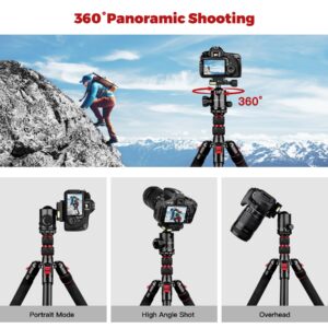 Tripod for Camera, 80“ Heavy Duty Camera Stand Tripod, Professional Ball Head Tripod Stand with Twist Locks, Aluminum Tripod Stand for DSLR Camera Spotting Scope, Video Camera Tripods & Monopods