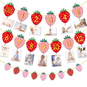 strawberry first birthday party decoration berry 1st monthly photo banner milestone photograph bunting garland for baby girl 12 months photo display baby shower birthday party decorations supplies