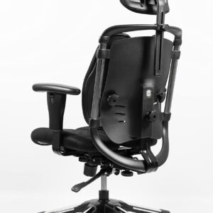 HARAchair Nietzsche – Ergonomic Chair with Dual Seat and Dual Backrest