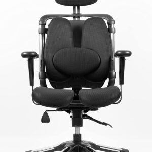 HARAchair Nietzsche – Ergonomic Chair with Dual Seat and Dual Backrest