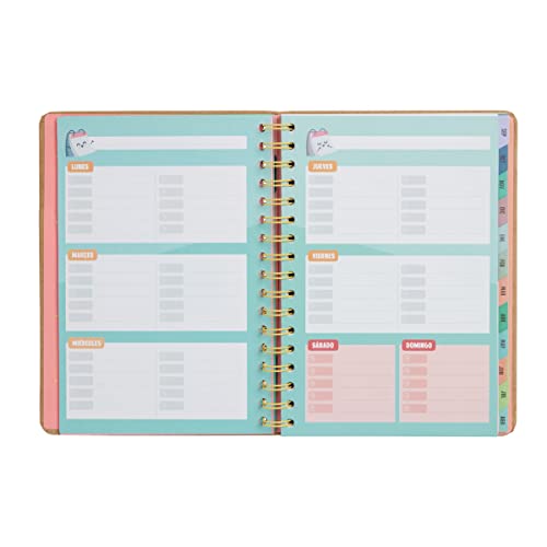 Mr. Wonderful, Wonder Planner 2023-2024 Weekly - Everything I'll Achieve