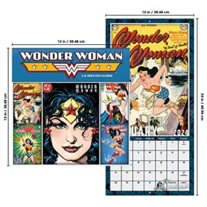 2024 DC Comics Wonder Woman Wall Calendar & Push Pins