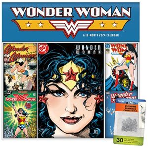 2024 dc comics wonder woman wall calendar & push pins