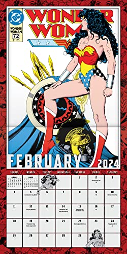 2024 DC Comics Wonder Woman Wall Calendar & Push Pins