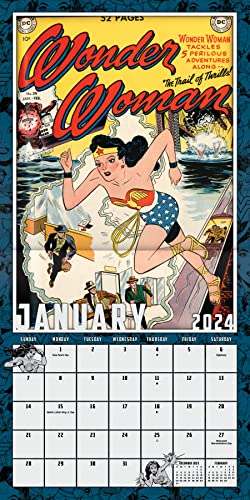 2024 DC Comics Wonder Woman Wall Calendar & Push Pins