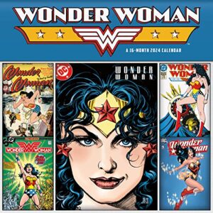 2024 DC Comics Wonder Woman Wall Calendar & Push Pins