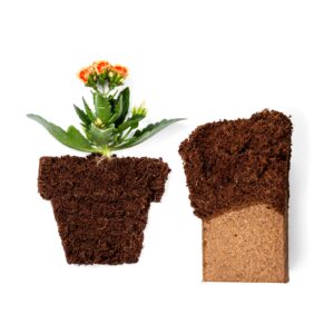 Coco Bliss 650gm Bricks (10-Pack) + Perlite Bliss (8 Qts) - Organic Coco Coir Bricks for Plants, Herbs, Potting Soil - High Expansion Coco Fiber with Low EC & pH Balance - Organic Perlite for Plants