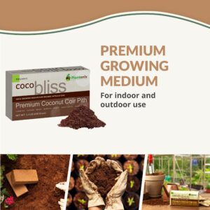 Coco Bliss 650gm Bricks (10-Pack) + Perlite Bliss (8 Qts) - Organic Coco Coir Bricks for Plants, Herbs, Potting Soil - High Expansion Coco Fiber with Low EC & pH Balance - Organic Perlite for Plants