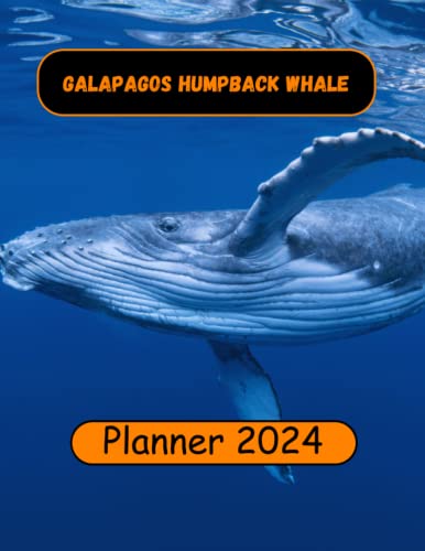 Galapagos Humpback Whale Planner 2024