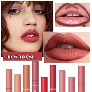 ZARICS 3PCS Nude Matte Lipstick Set, 24 Hour Superstay Natural Nude Lipstick Velvet Smooth Crayon Lip Stain, Long Lasting Waterproof Lip Gloss Lipstick for Women Makeup (Set C)