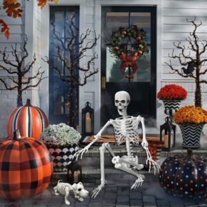 Lodou 5.4Ft Posable Life Size Human Adult Skeletons with Dog Skeleton, Plastic Human Bones with Movable Joints for Halloween Decoration