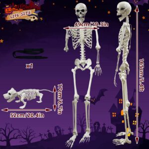 Lodou 5.4Ft Posable Life Size Human Adult Skeletons with Dog Skeleton, Plastic Human Bones with Movable Joints for Halloween Decoration