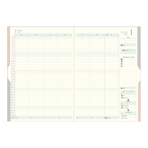 Midori 22266006 Double Schedule Planner, 2024, B6, Monthly Money, Pink (Starts October 2023) (teal)