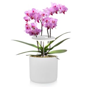noukow led plant grow lights for orchid 10w full spectrum plant light with auto on & off timer 8/12/16h, 5 dimmable brightness, height adjustable small grow lights for indoor plants