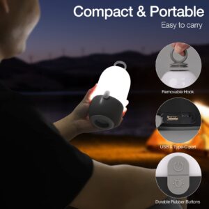 LED Camping Lantern Rechargeable,DeckTok Camping Lights,1000LM,4 Days Runtime,3 Dimmable Light Modes,Waterproof Portable Tent Lantern,Lanterns for Power Outages, Hiking,Hurricane,Emergency,Home