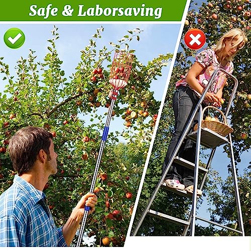 Fruit Picker, 10FT Long Handle Fruit Picker with Basket, Fruit Catcher Tool for Apple Mango Pear Orange Avocado Lemon Citrus Tree Picker