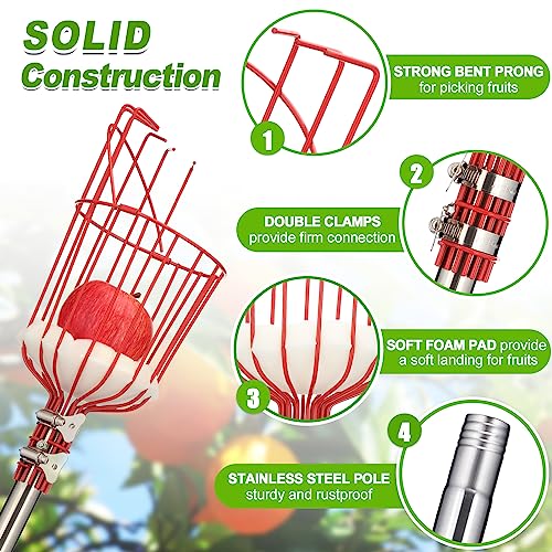 Fruit Picker, 10FT Long Handle Fruit Picker with Basket, Fruit Catcher Tool for Apple Mango Pear Orange Avocado Lemon Citrus Tree Picker