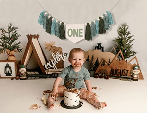 Greenery 1st Birthday High Chair Banner,Nature 1st Birthday Highchair Banner , One Birthday High Chair Banner , Tassel Bunting , Wooden Tassel Garland (Greenery 1st Birthday Banner Green)