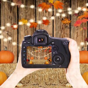 YYNXSY Fall Thanksgiving Photo Backdrop Autumn Retro Board Backdrops Wooden Fence Haystack Pumpkin Photo Background Thanksgiving Party Decorations Studio Photography Props 7X5FT YY-2516