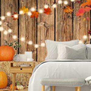 YYNXSY Fall Thanksgiving Photo Backdrop Autumn Retro Board Backdrops Wooden Fence Haystack Pumpkin Photo Background Thanksgiving Party Decorations Studio Photography Props 7X5FT YY-2516